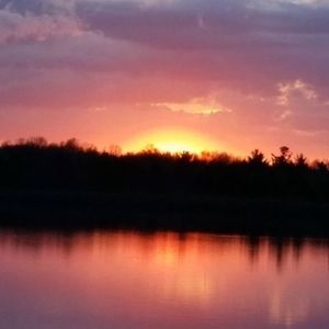 Meet your Posher, Shari